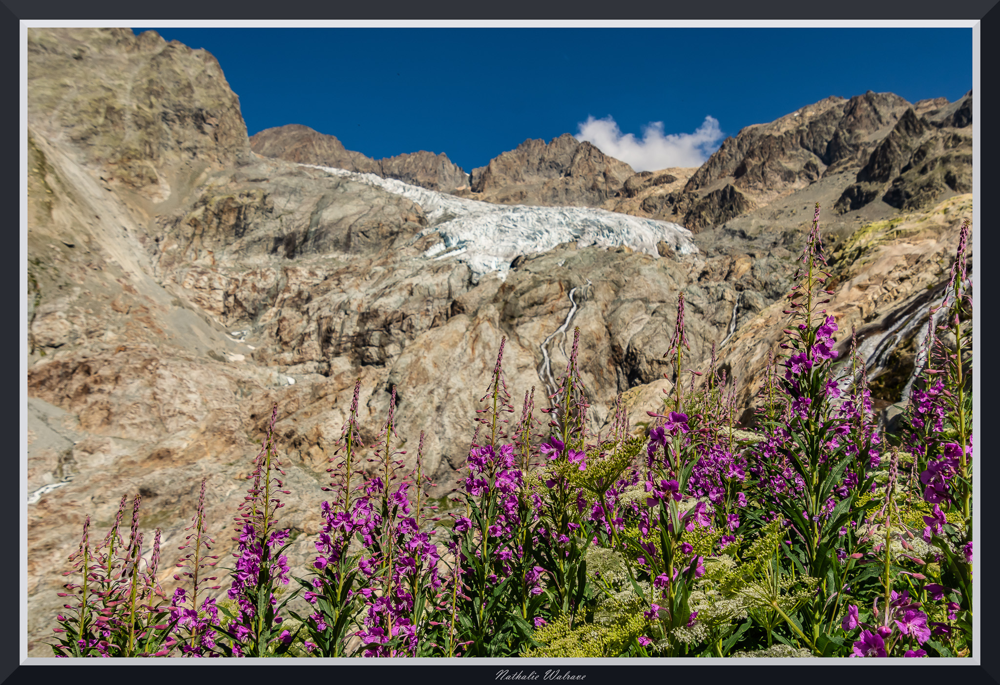 Sur le chemin vers le glacier blanc